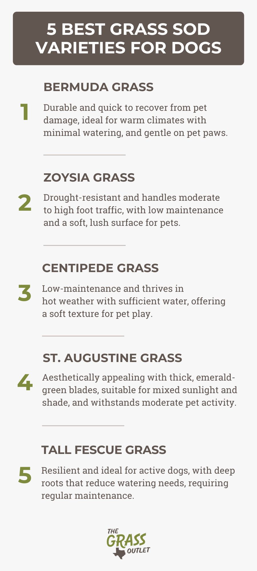 5 Best Grass Sod Varieties For Dogs