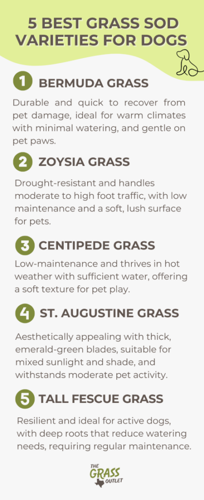 Visual showing best grass varieties for dogs