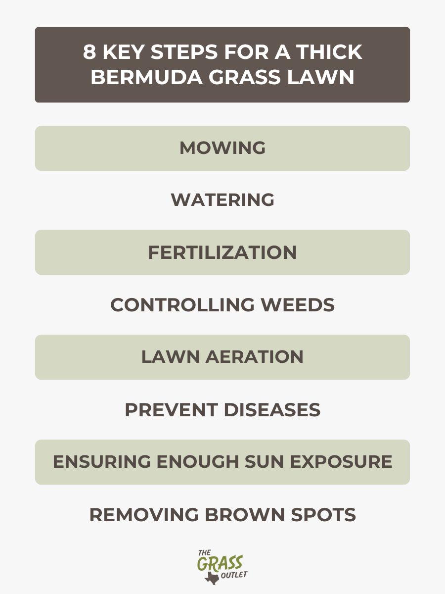8 key steps for a thick bermuda grass lawn
