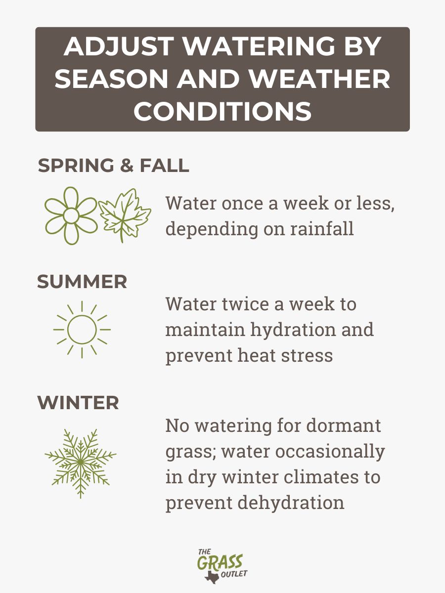 Adjust Watering by Season and Weather Conditions