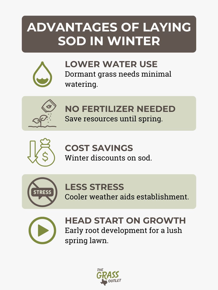 Advantages of Laying Sod in Winter
