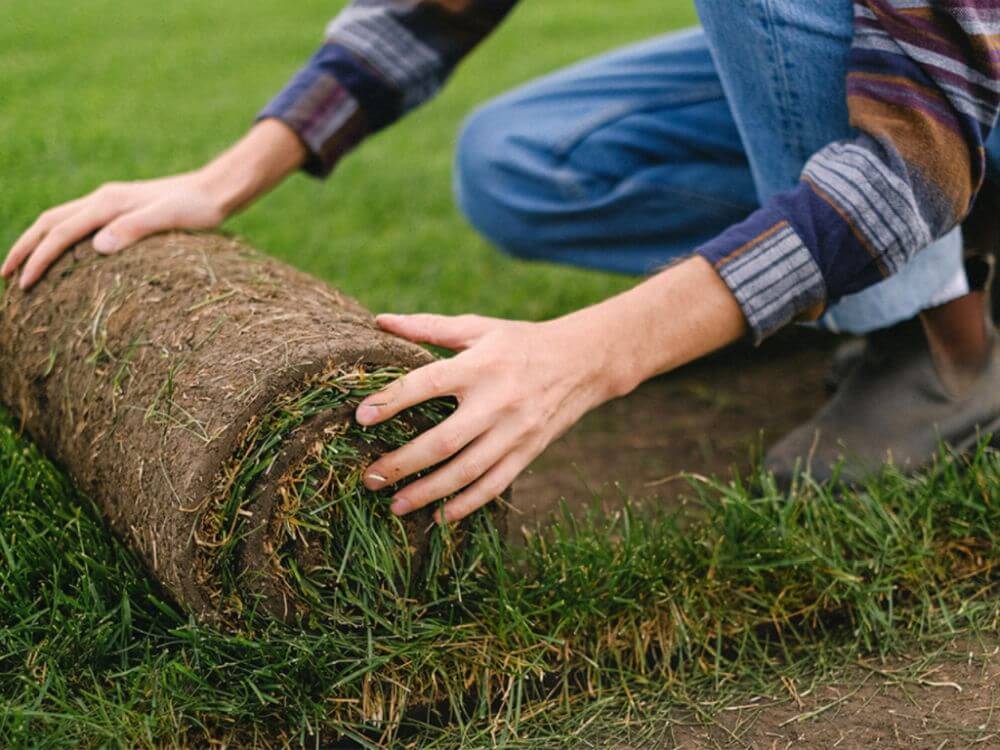 Amending Central Texas Soil