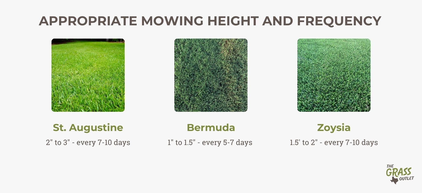 Appropriate mowing height and frequency