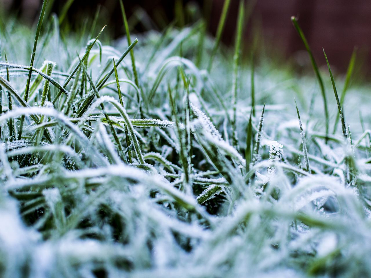 Preparing soil for winter by fertilizing in autumn