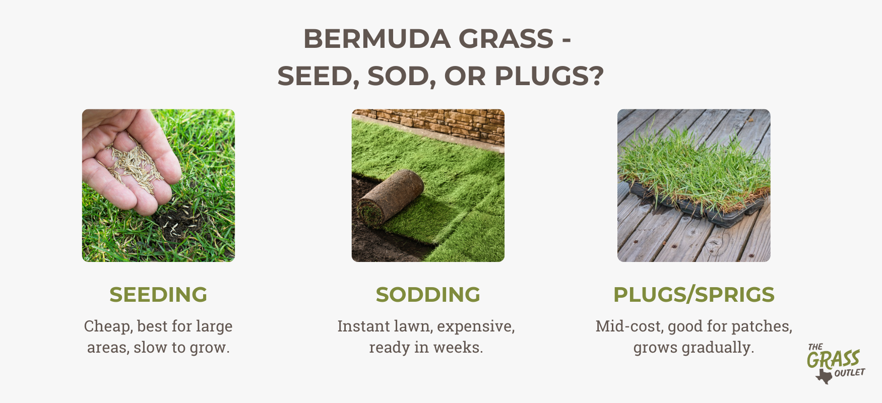 Bermuda Grass - Seed, Sod, or Plugs