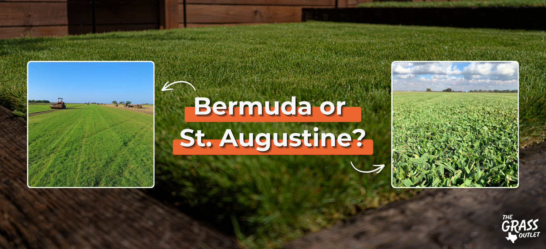 Bermuda and St. Augustine grass field
