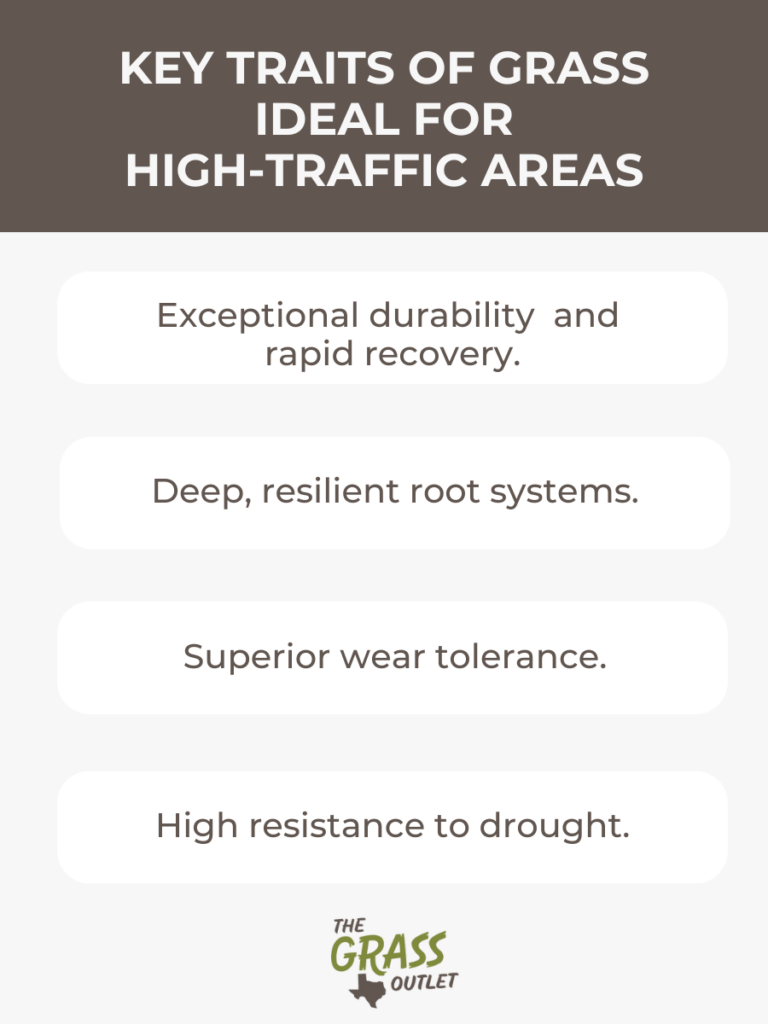 Key Traits of Grass Ideal for High-Traffic Areas