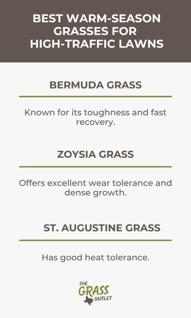 Best Warm-Season Grasses for High-Traffic Lawns Bermuda Grass Zoysia Grass St. Augustine Grass 