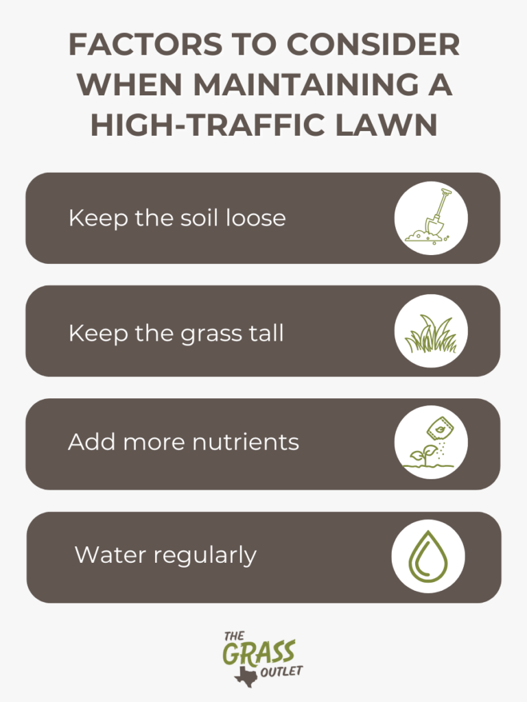 Factors to Consider When Maintaining a High-Traffic Lawn