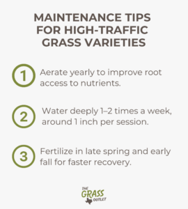 Maintenance Tips for High-Traffic Grass Varieties