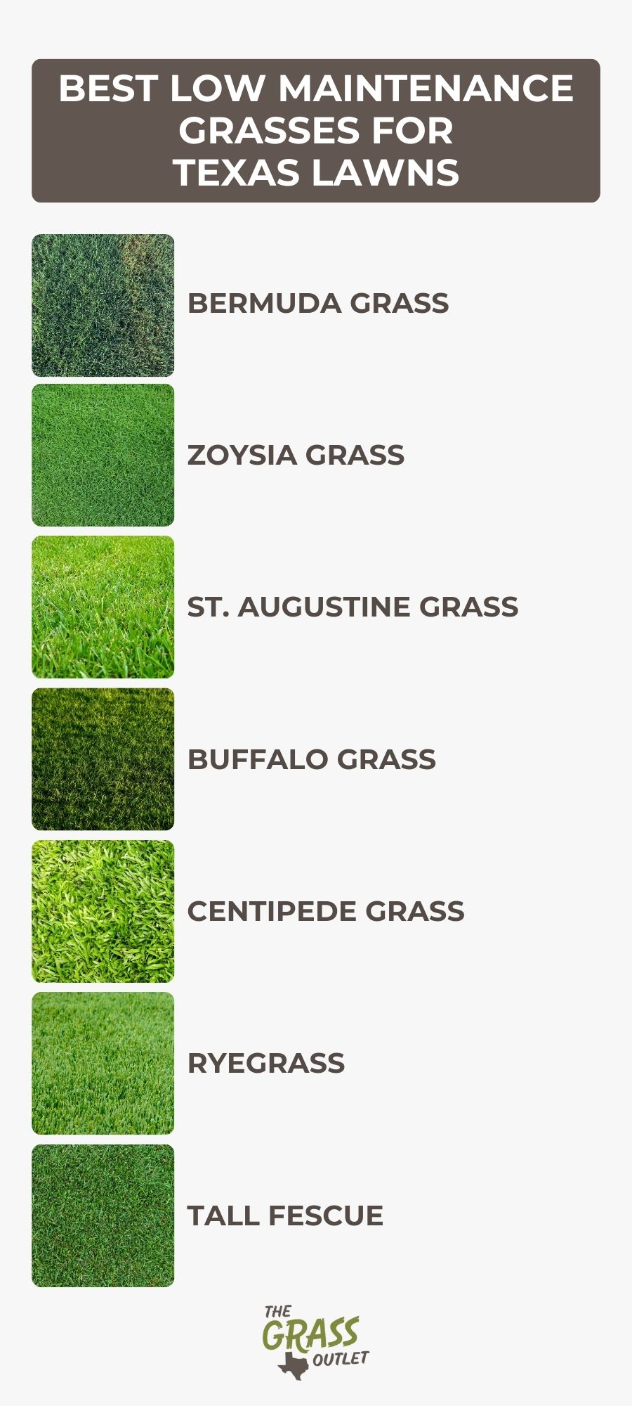 Best low maintenance grasses for texas lawns