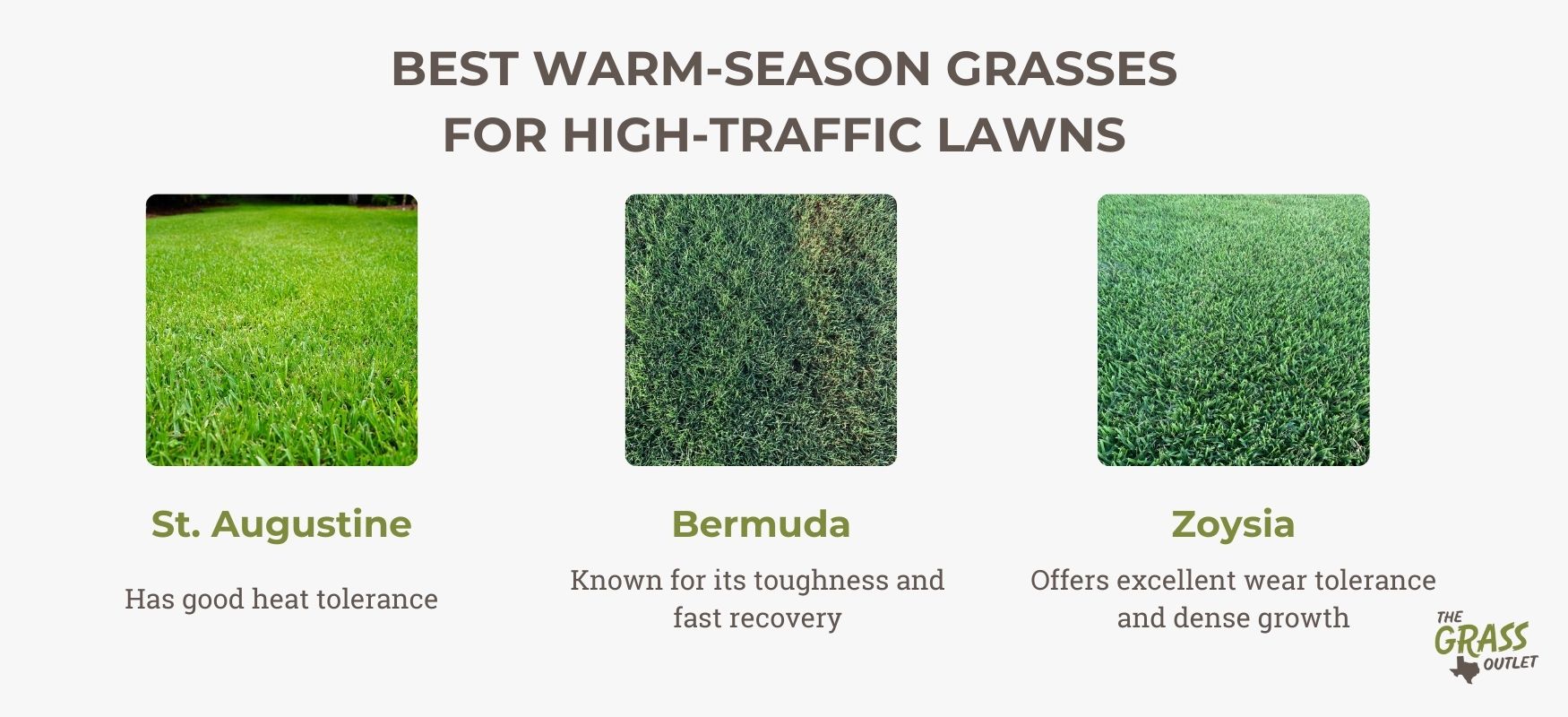 Best warm-season grasses for high-traffic lawns