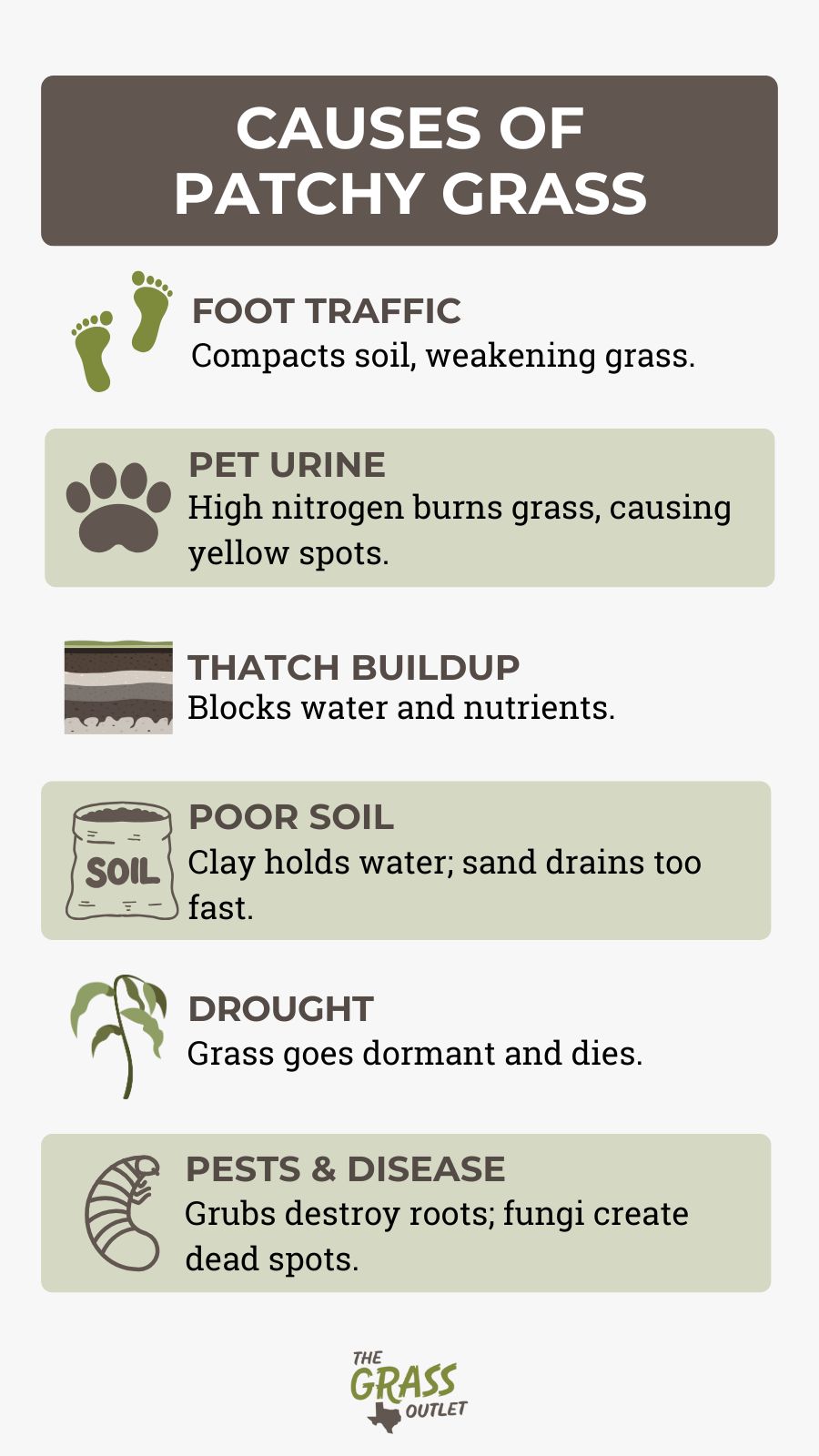 Causes of Patchy Grass