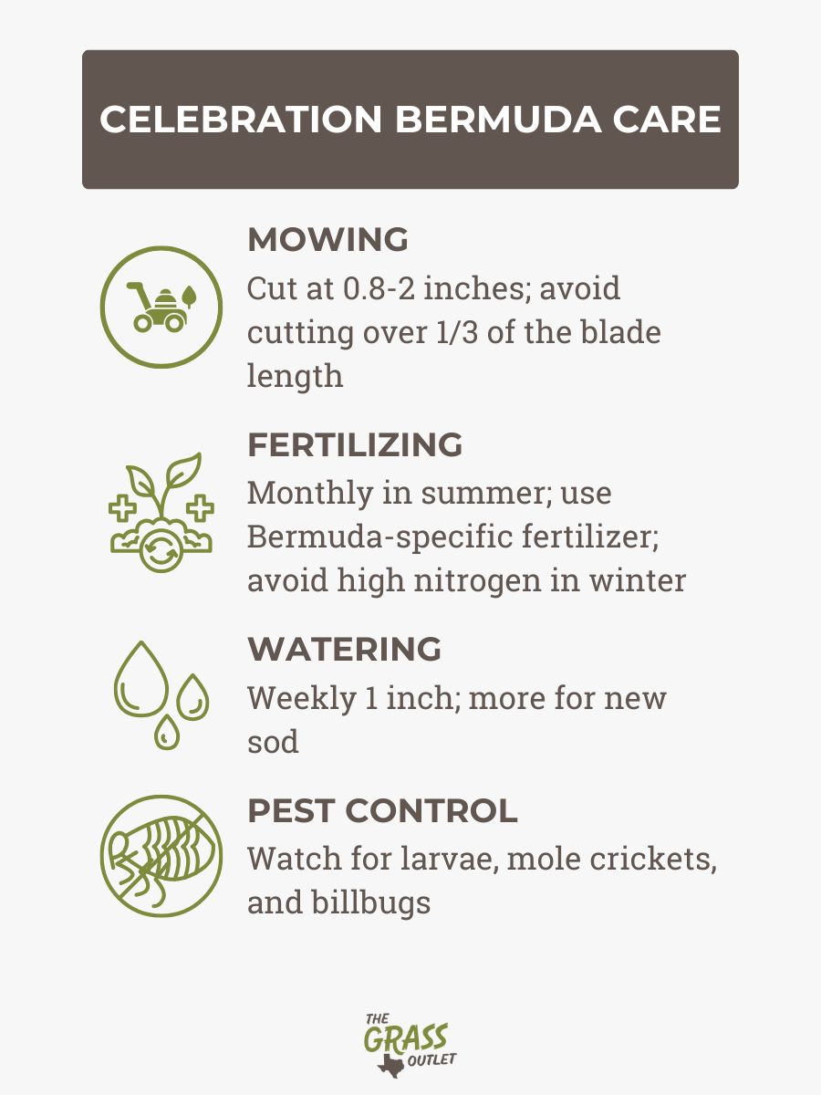 Celebration Bermuda Care