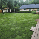 Yard with newly installed grass