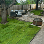 Freshly installed Zeon Zoysia grass