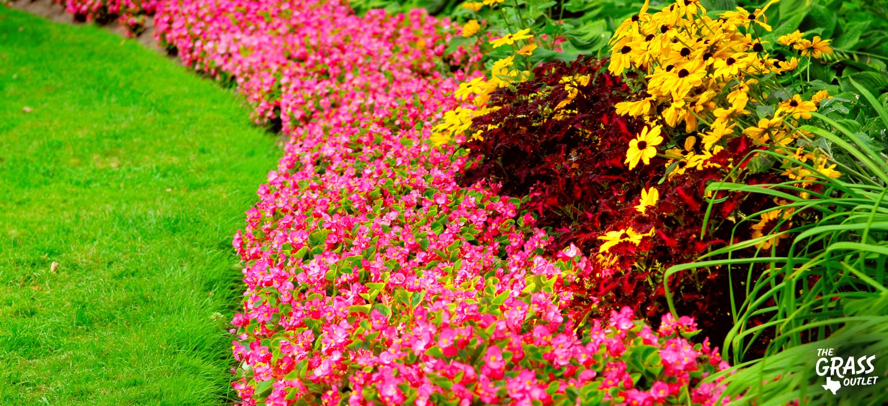 Colorful garden lawn