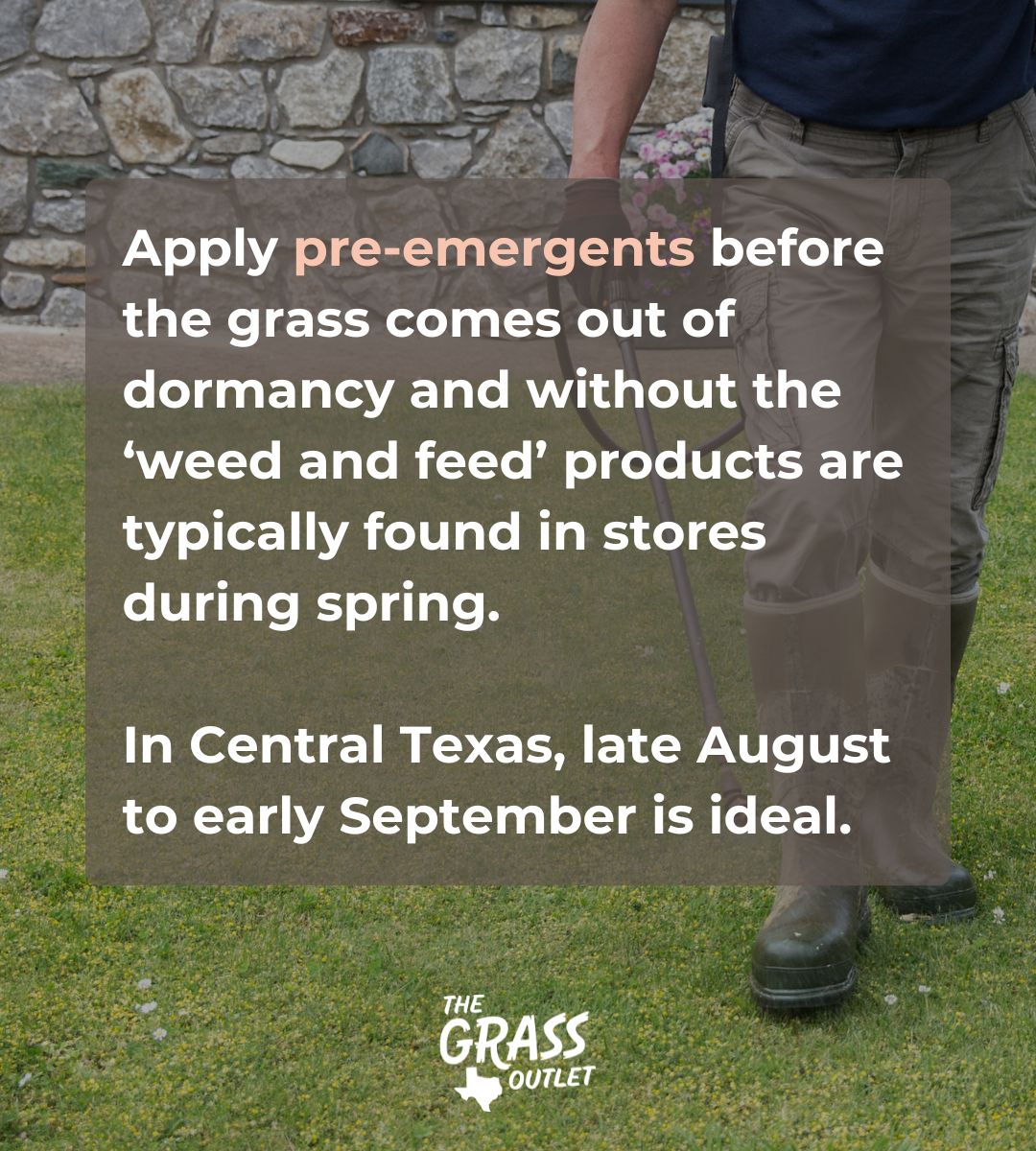 Pre-Emergent Herbicides: The Most Effective Way To Combat Winter Weeds