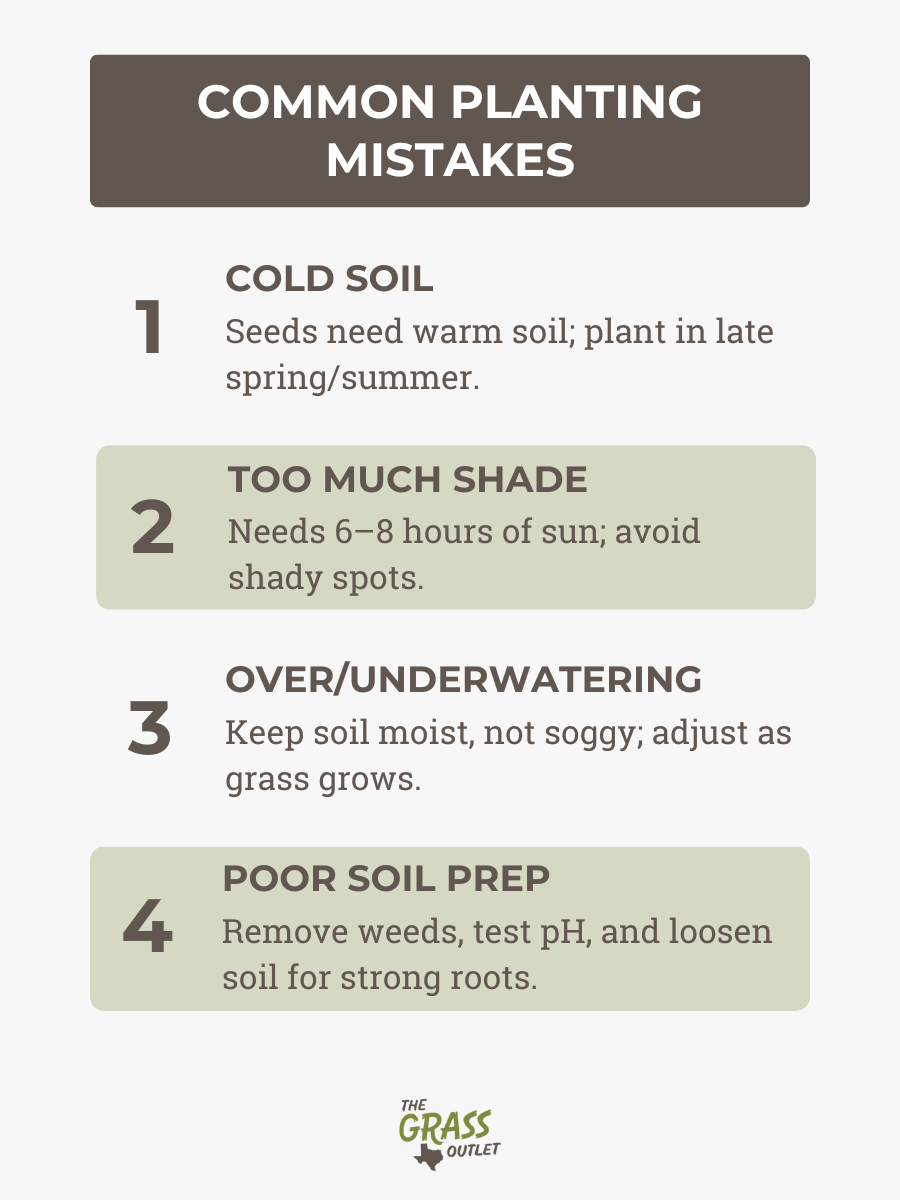 Common Planting Mistakes