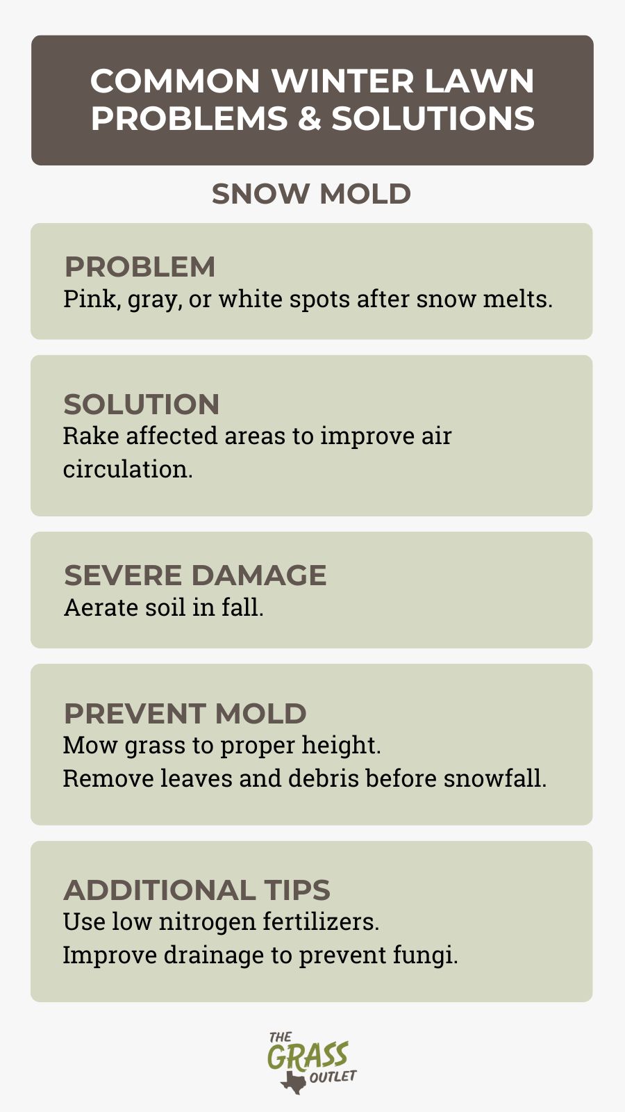 Common Winter Lawn Problems & Solutions