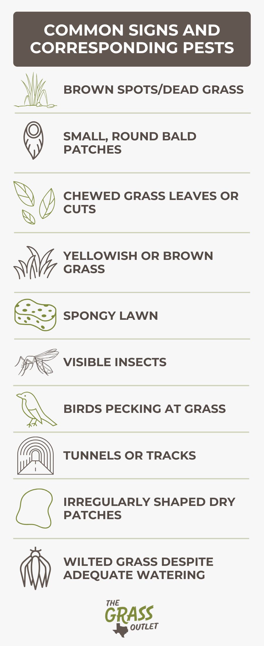 Common signs and corresponding pests