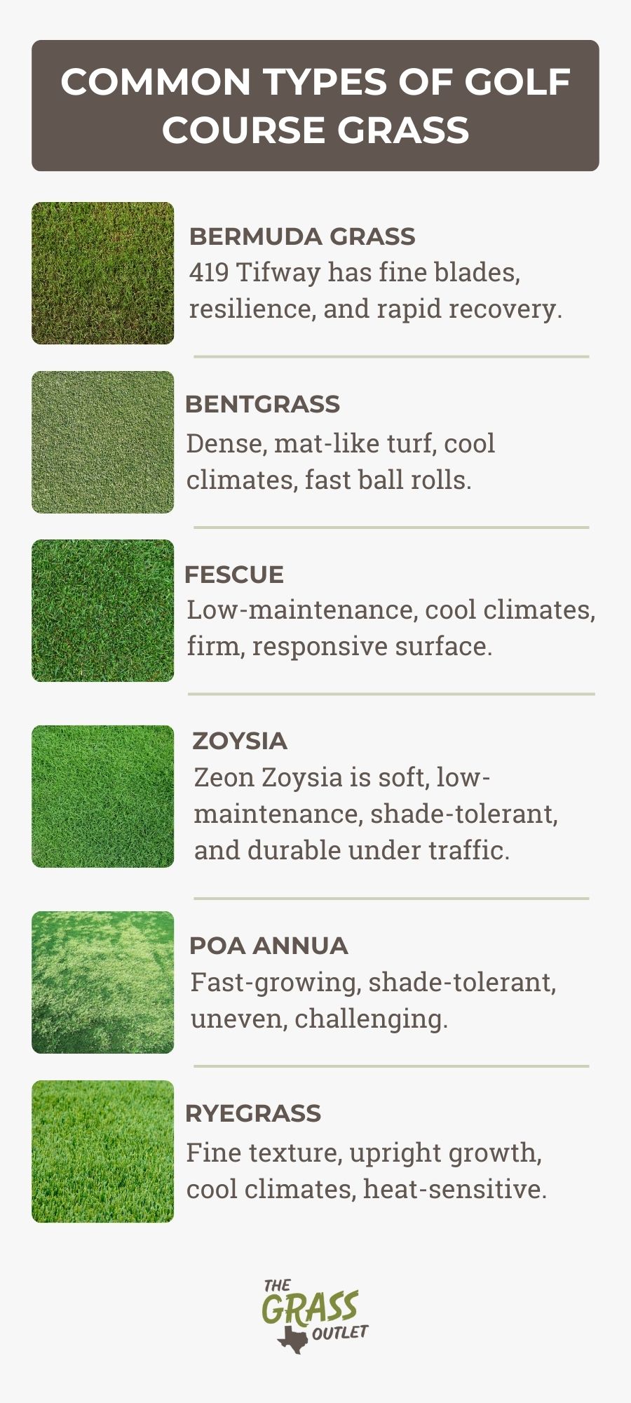 Common types of golf course grass