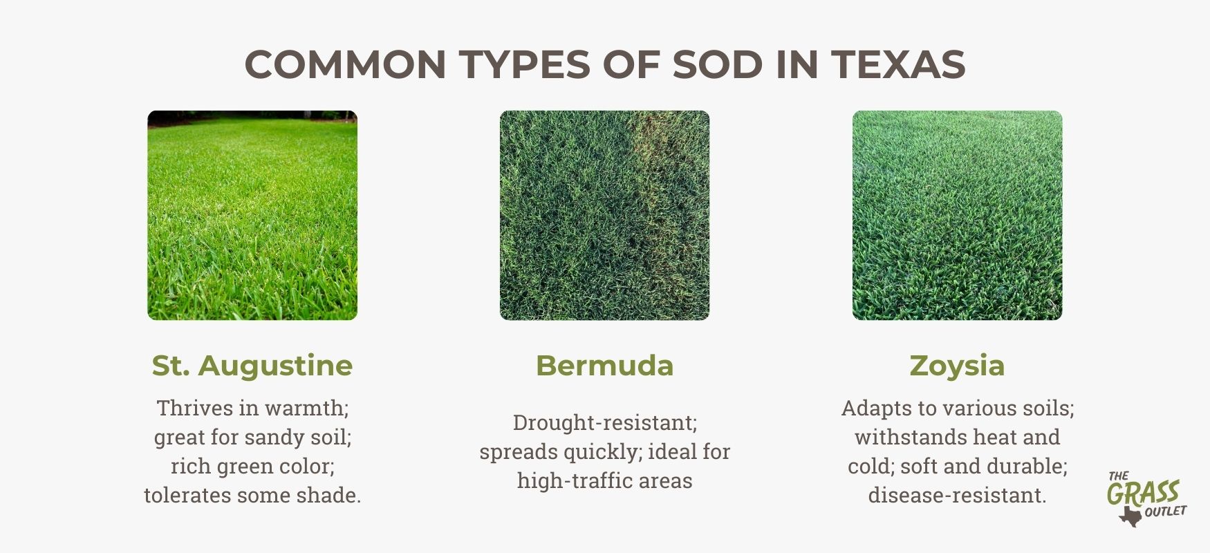 Common types of sod in Texas
