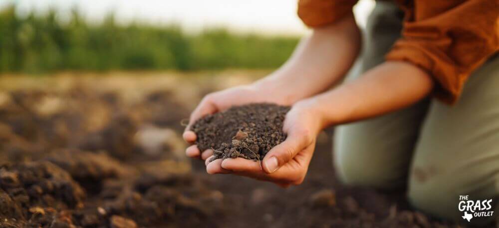 Compost layer 2-3 inches