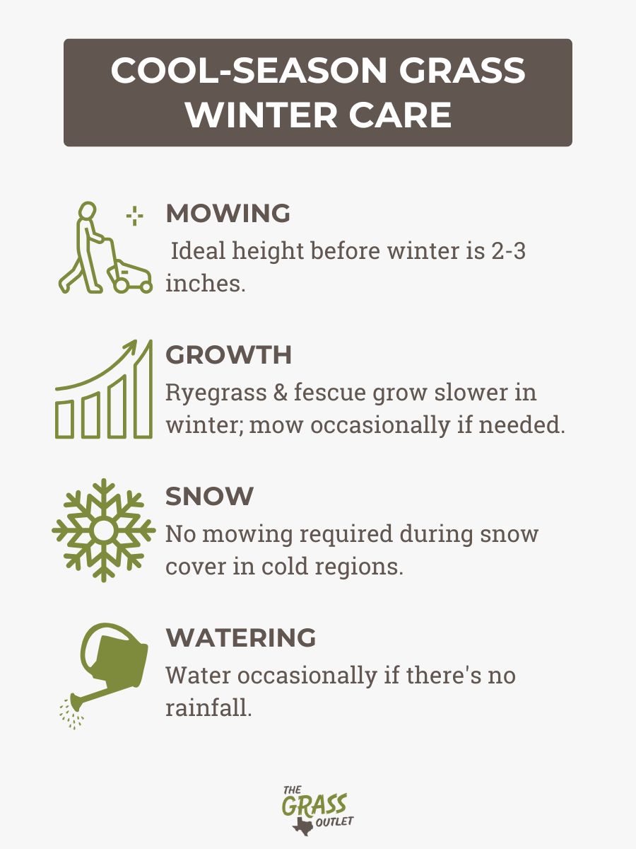 Cool-Season Grass Winter Care
