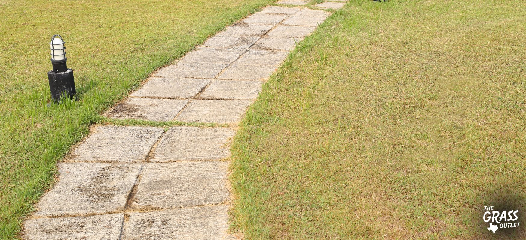 Creative pathways and walkway