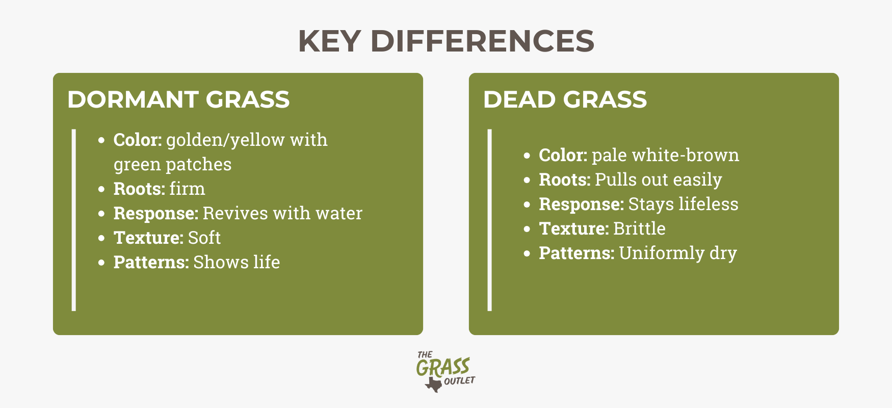 Dead vs Dormant Grass Difference