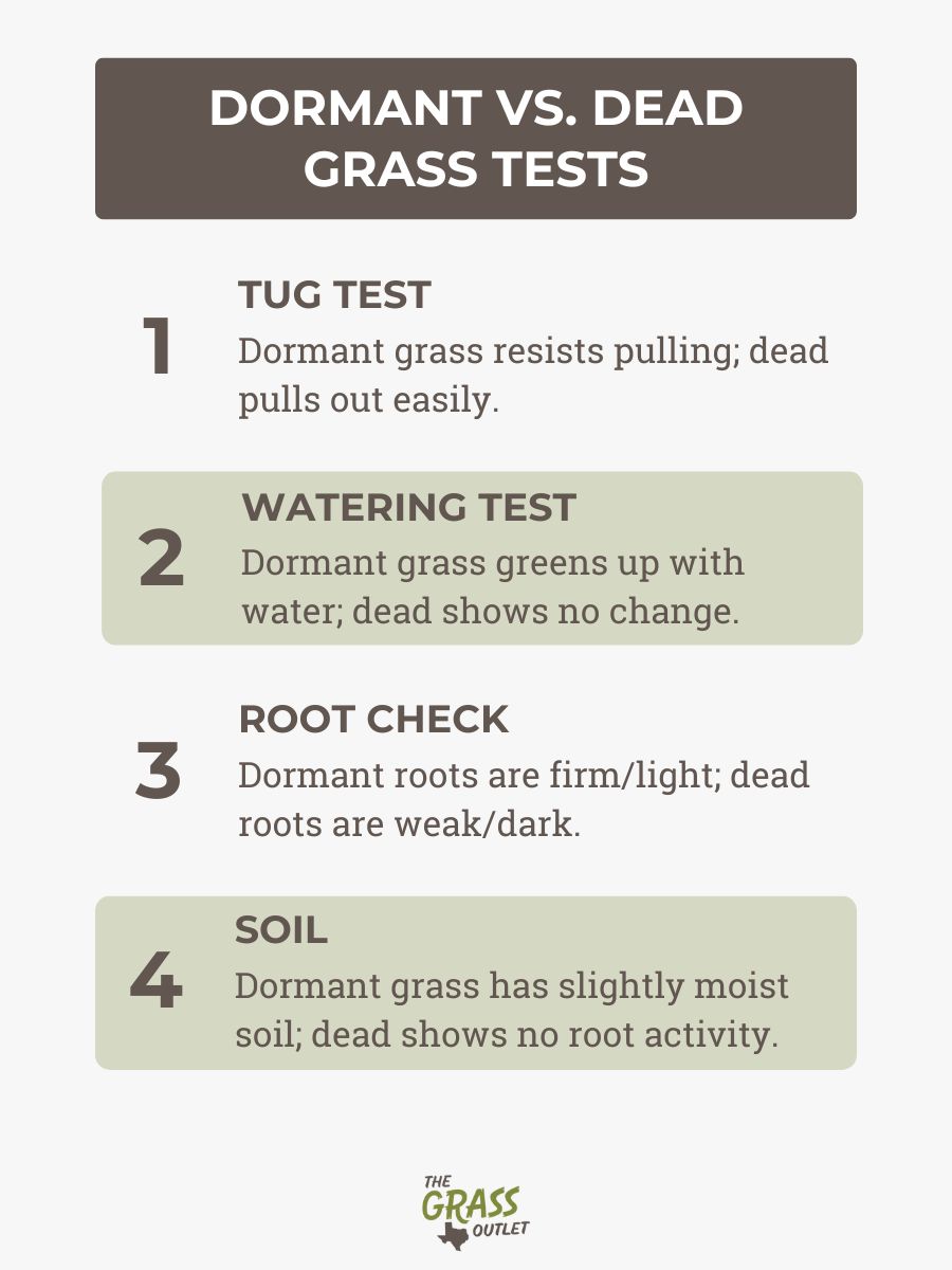 Dormant vs. Dead Grass Tests