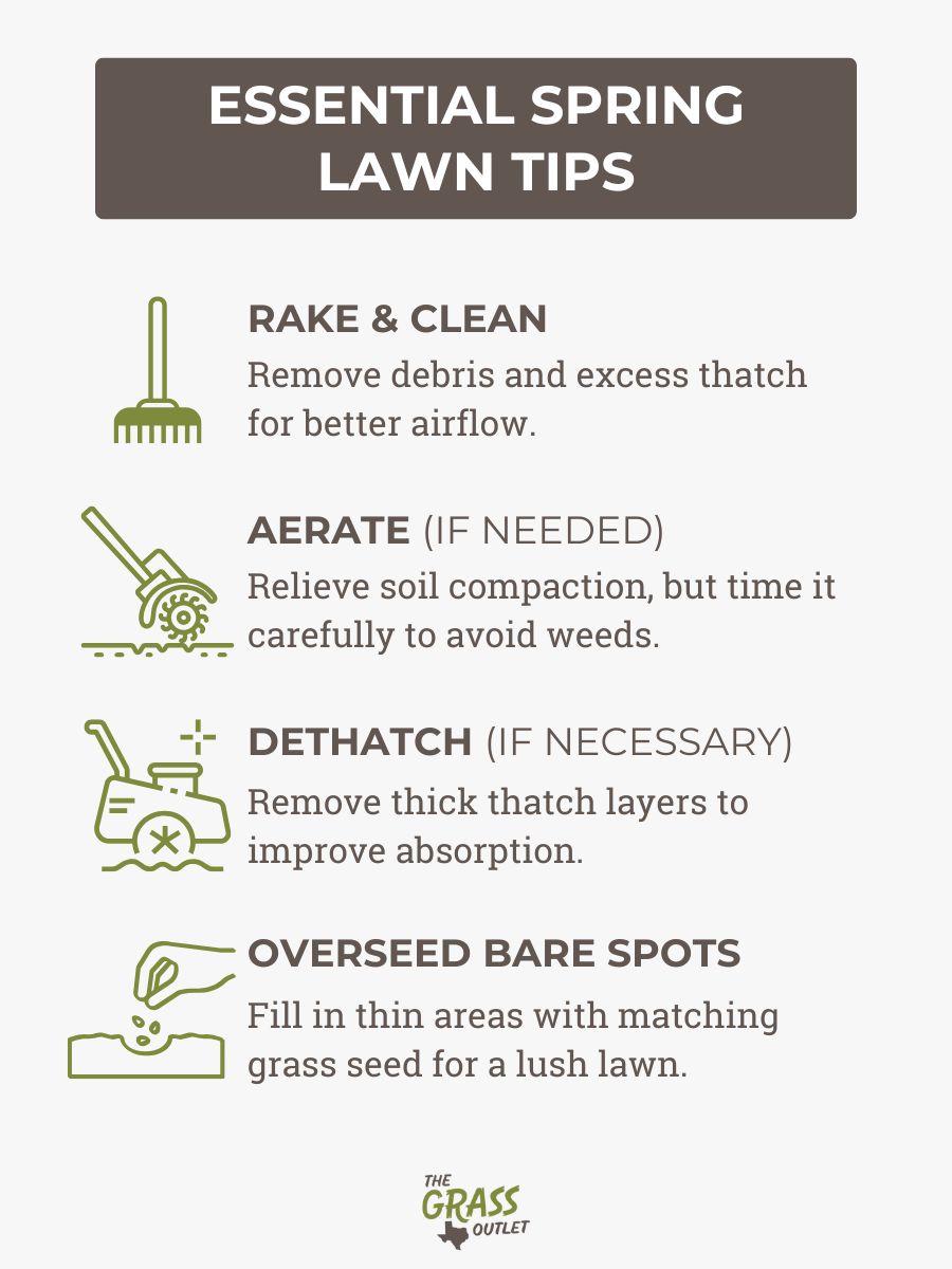 Essential Spring Lawn Tips