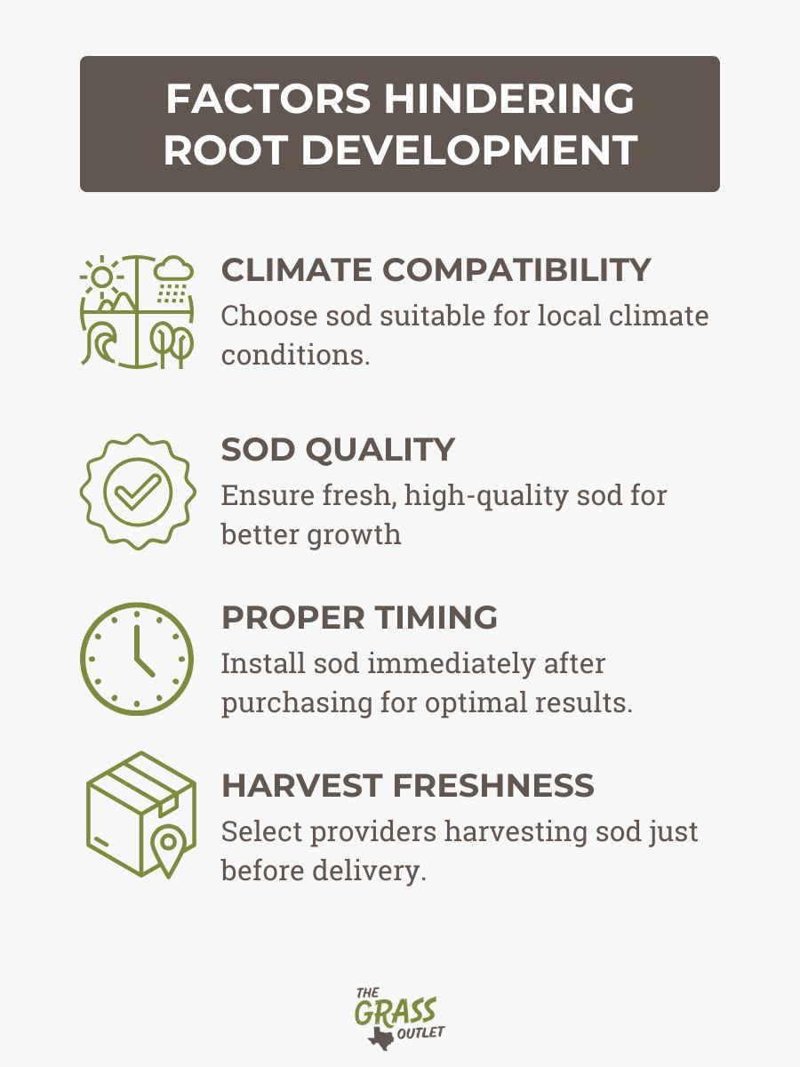 Factors hindering root development
