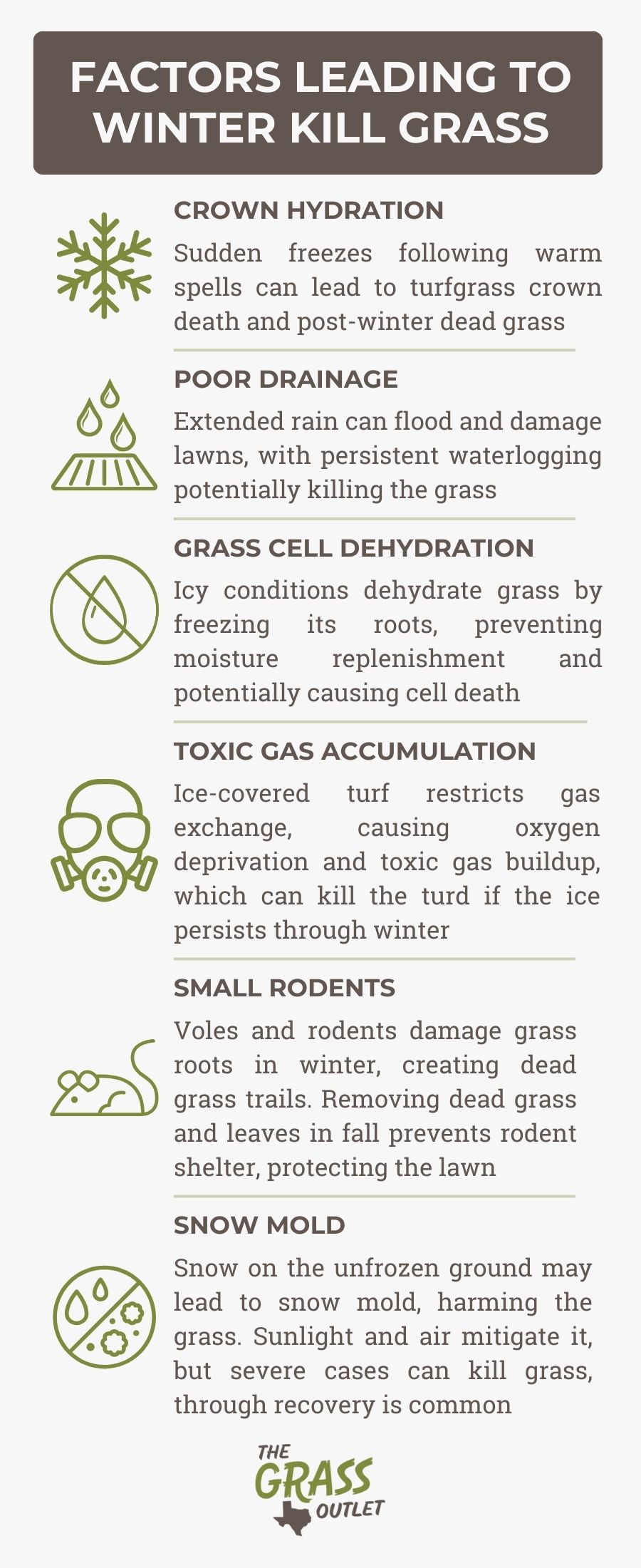 Factors leading to winter kill grass