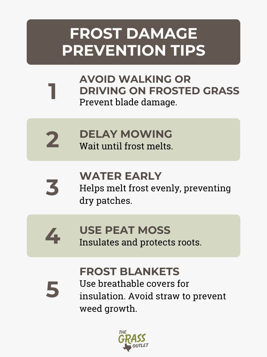 Frost Damage Prevention Tips