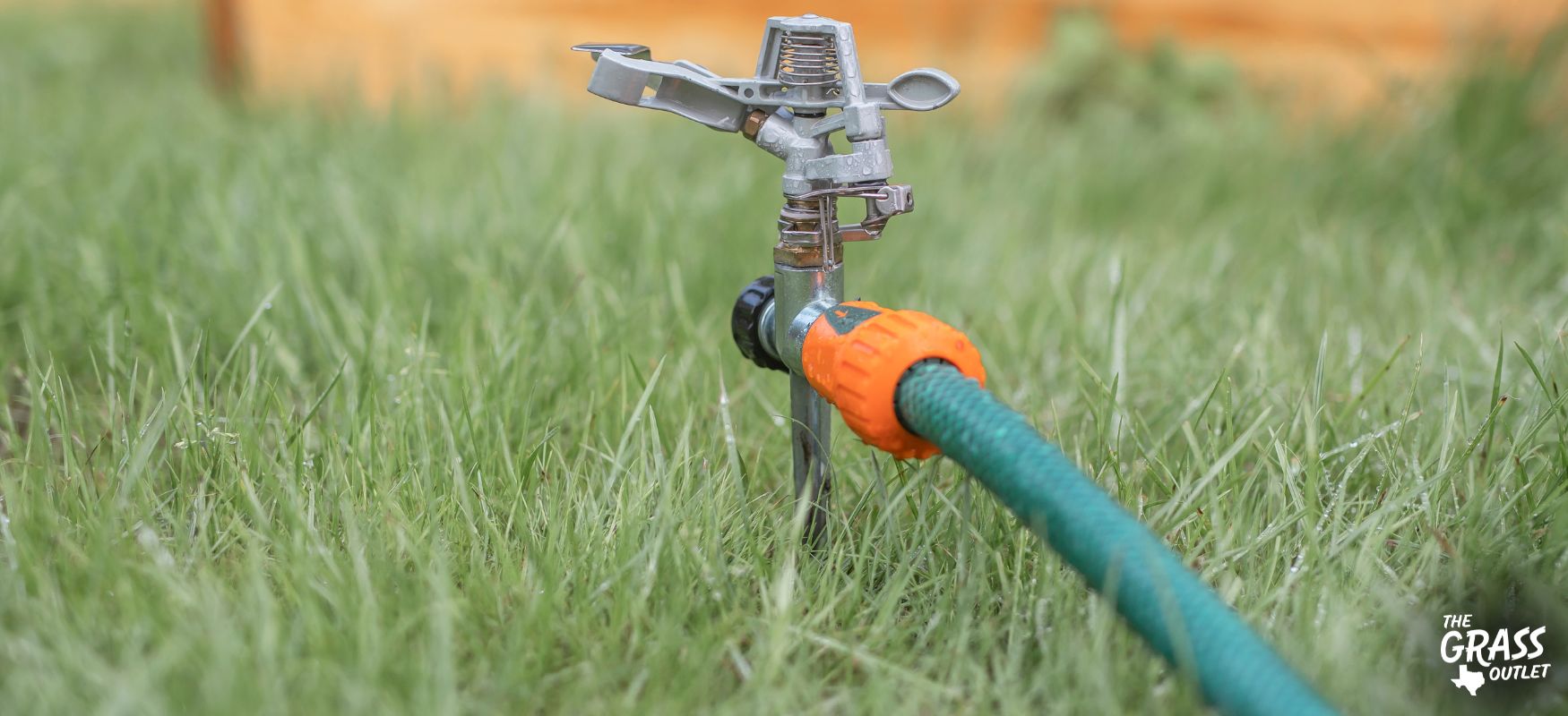 Grass during water restrictions