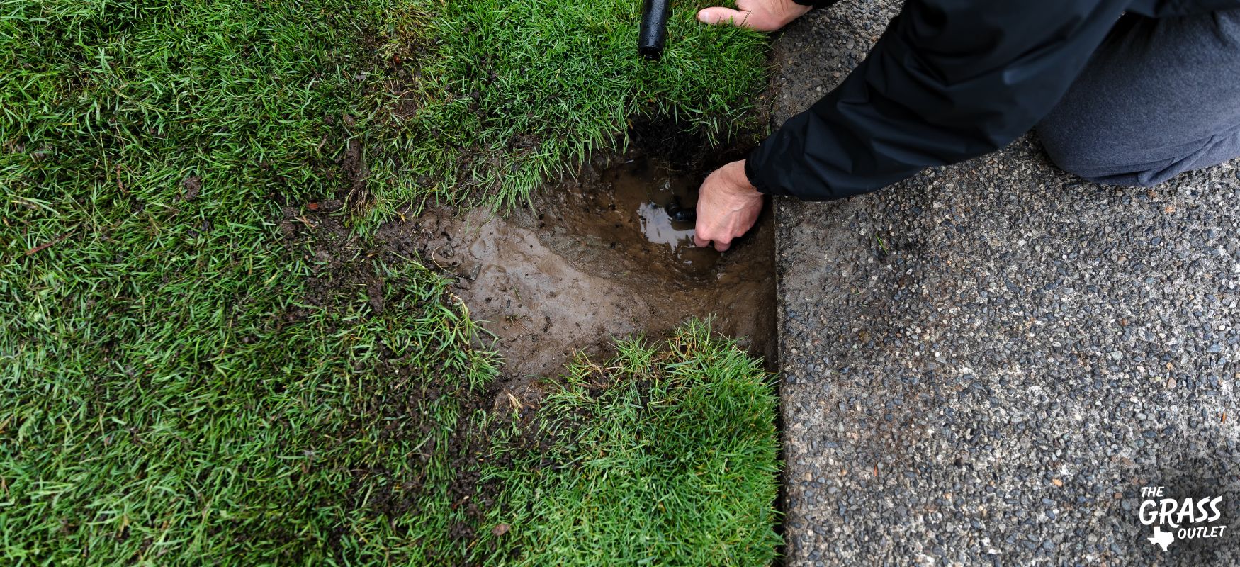 Grass repair