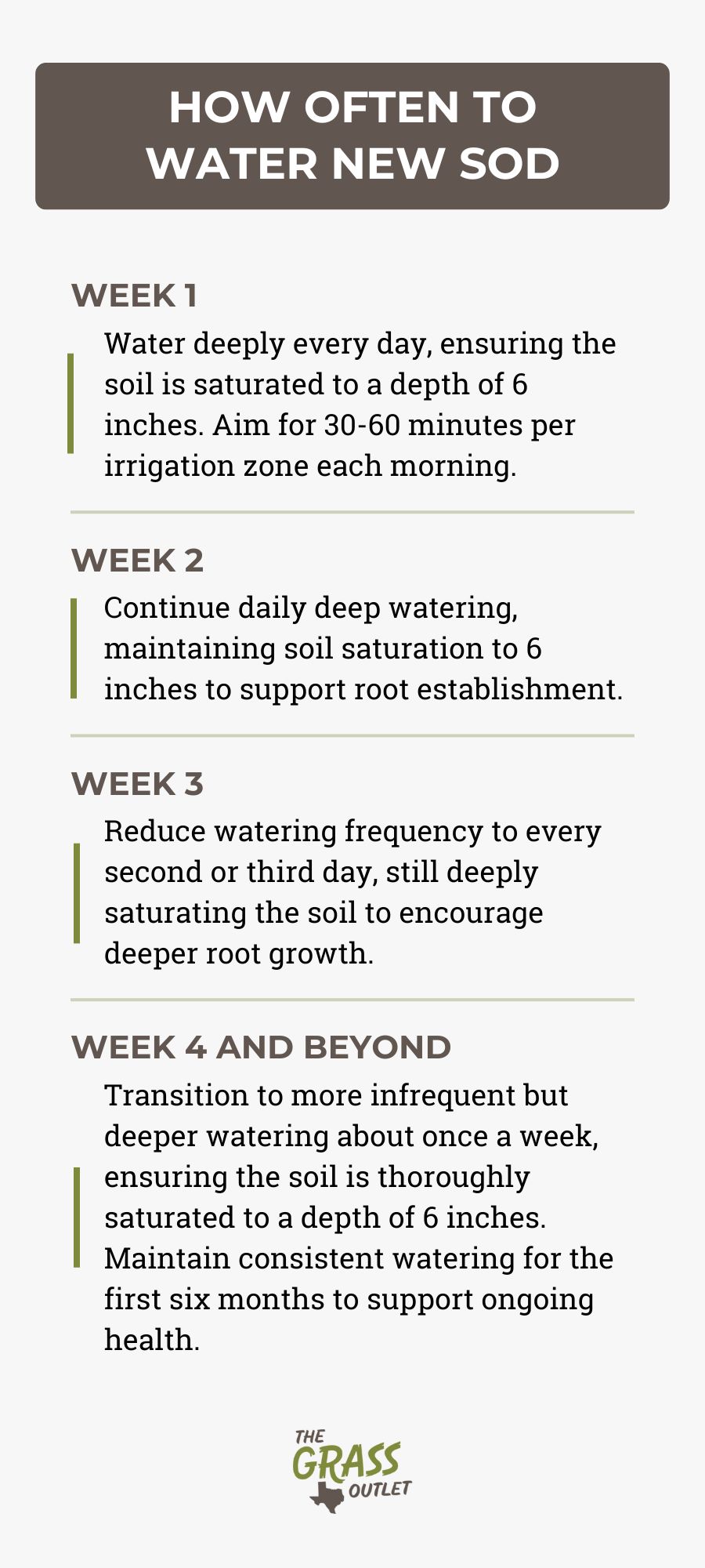 How often to water new sod