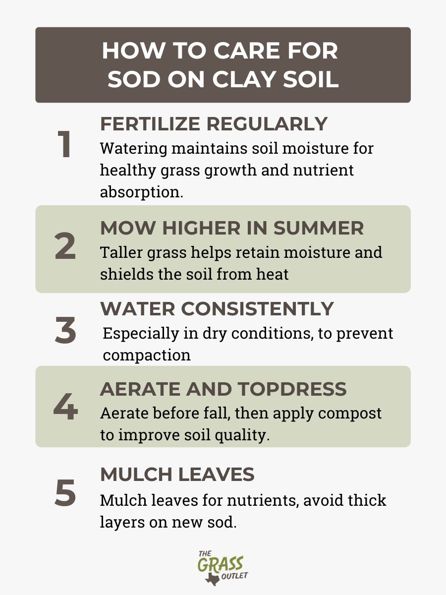 How to care for sod on clay soil