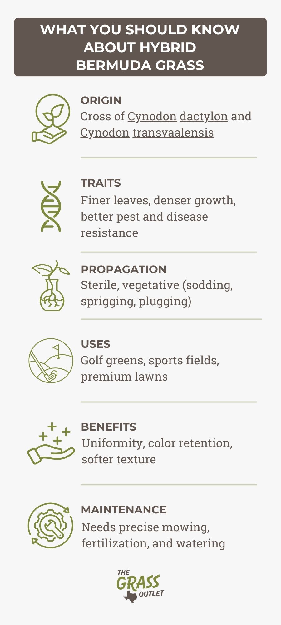 Hybrid Bermuda Grass Facts