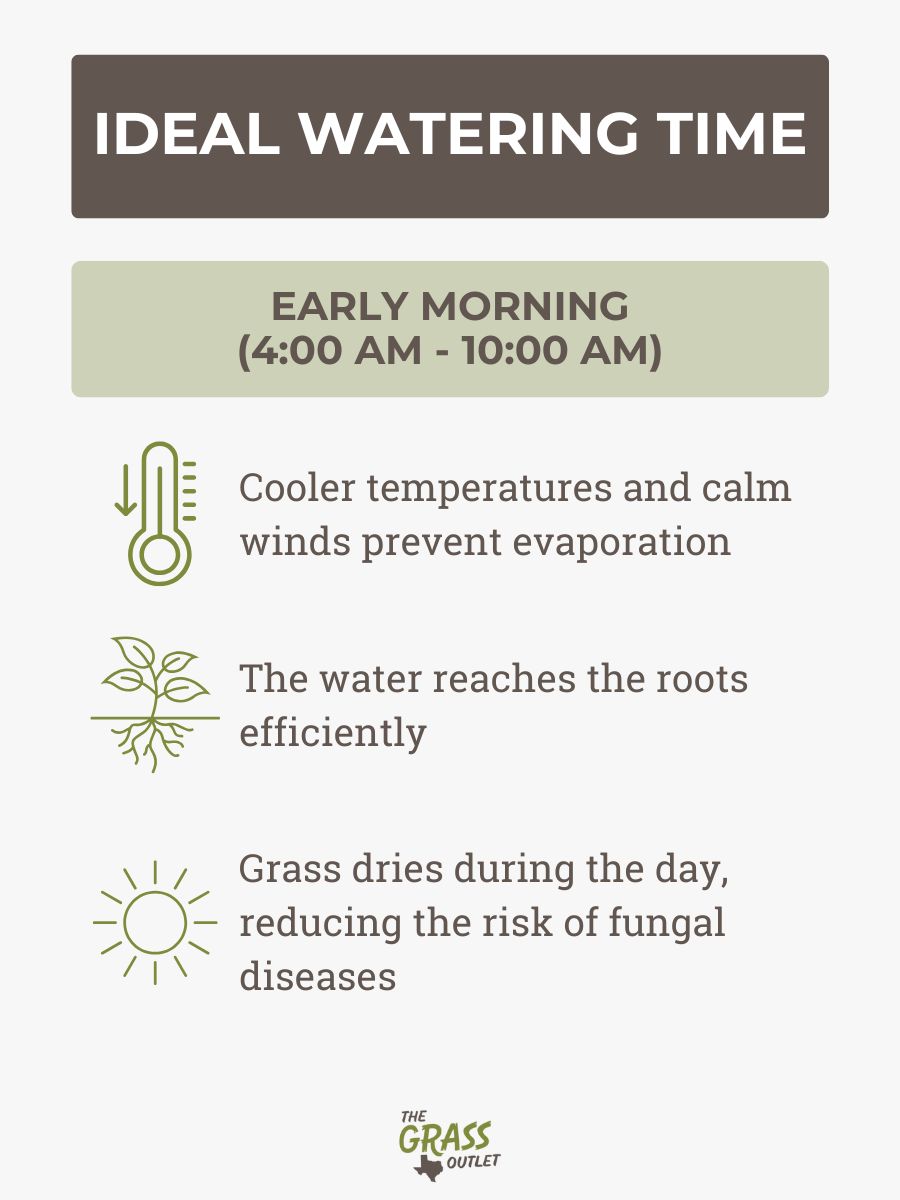 Ideal watering time