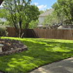 Freshly installed Zeon Zoysia