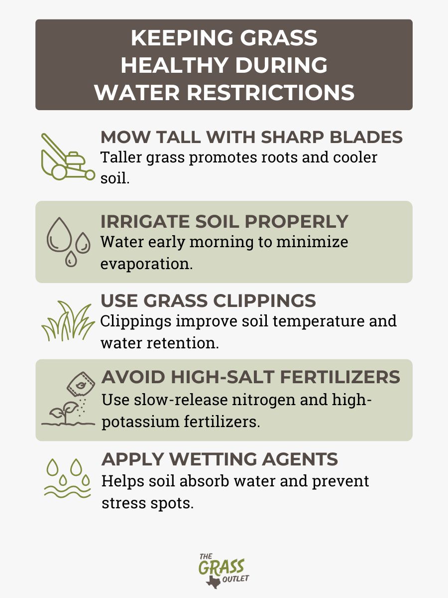 Keeping grass healthy during water restrictions