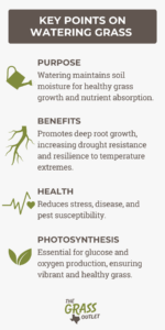 Visual que muestra los puntos clave del riego del césped
