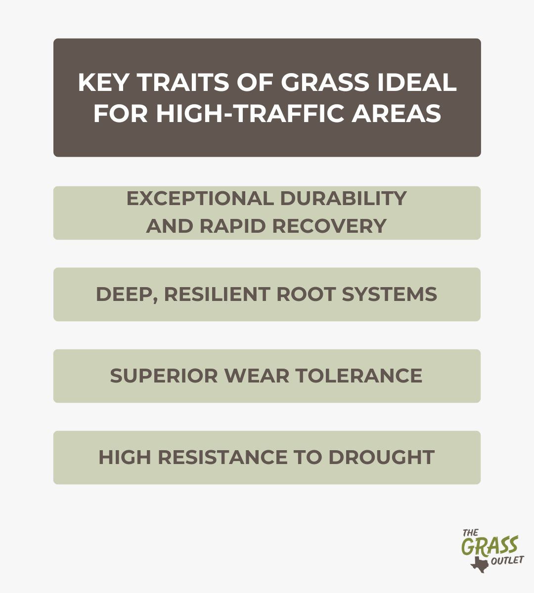Key traits of grass ideal for high-traffic areas