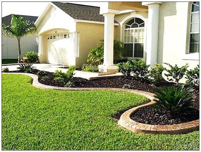 Lawn Edging texas grass for sale