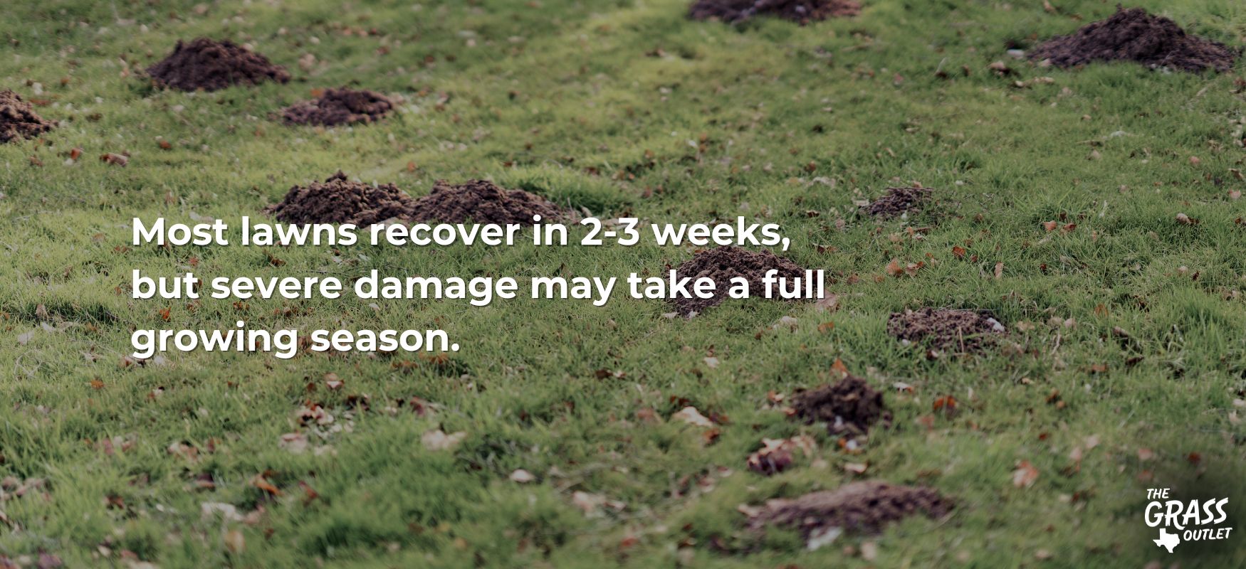 Lawn recovery process