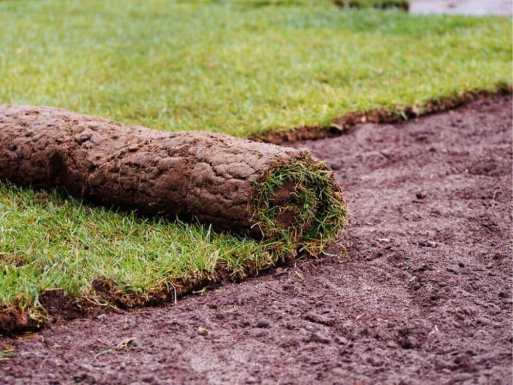 Laying sod in Texas
