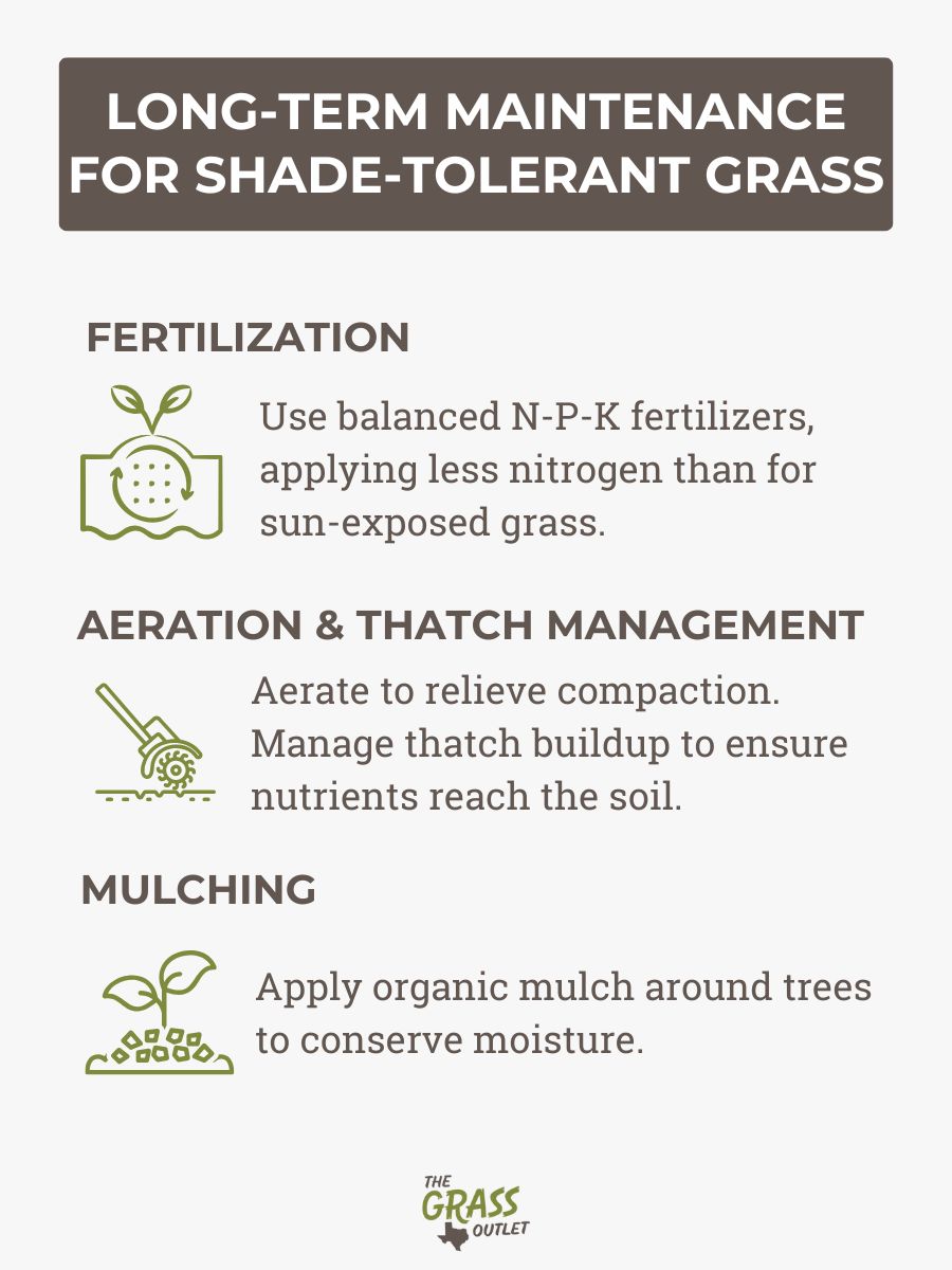 Long-term maintenance for shade-tolerant grass